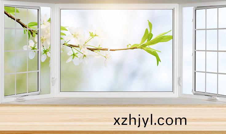 某鍋(guo)鑪廢(fei)氣(qi)項目(mu)